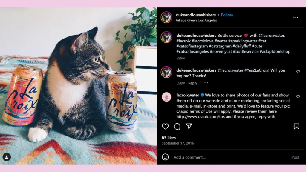 Instagram post with hashtag #LaCroixlove