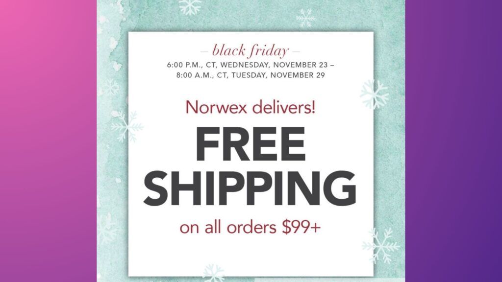 Free shipping during Black Friday - black friday marketing ideas