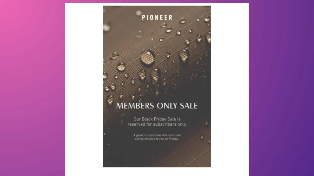 Pioneer’s member-only Black Friday sale campaign.