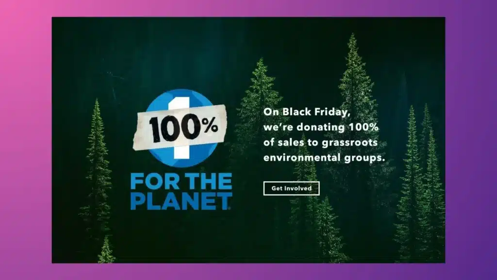 Patagonia donates 100% of Black Friday's profit to the protected environment.