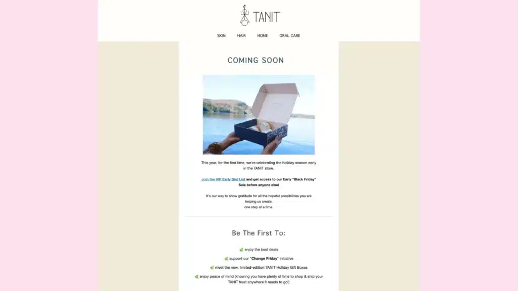 TANIT's early access email example.